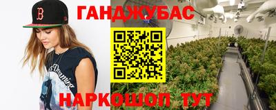 гашик Брянск