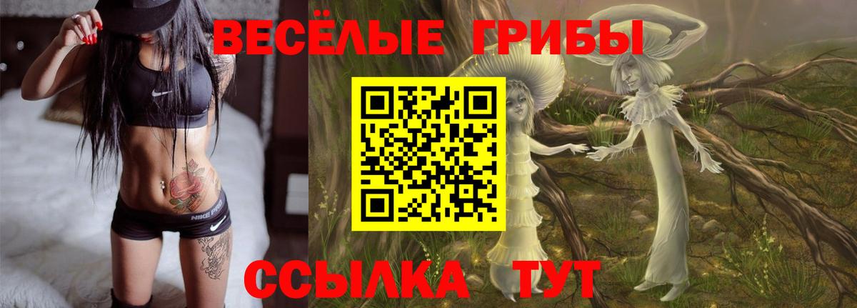 Батайск  Галлюциногенные грибы Magic Shrooms  даркнет сайт  Вход с VPN 